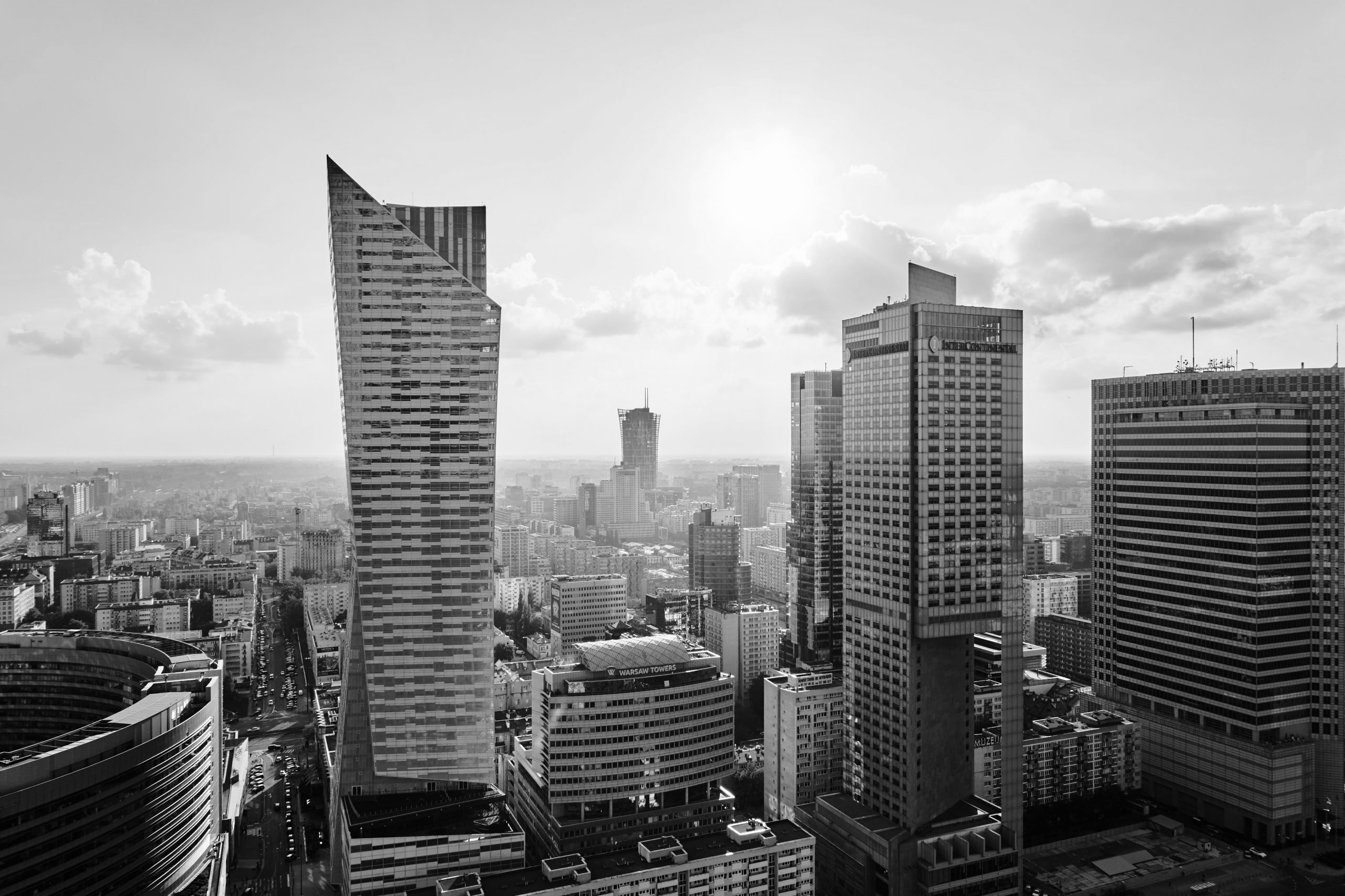 alexey-topolyanskiy-DJO2L1RQZZc-unsplash_BW