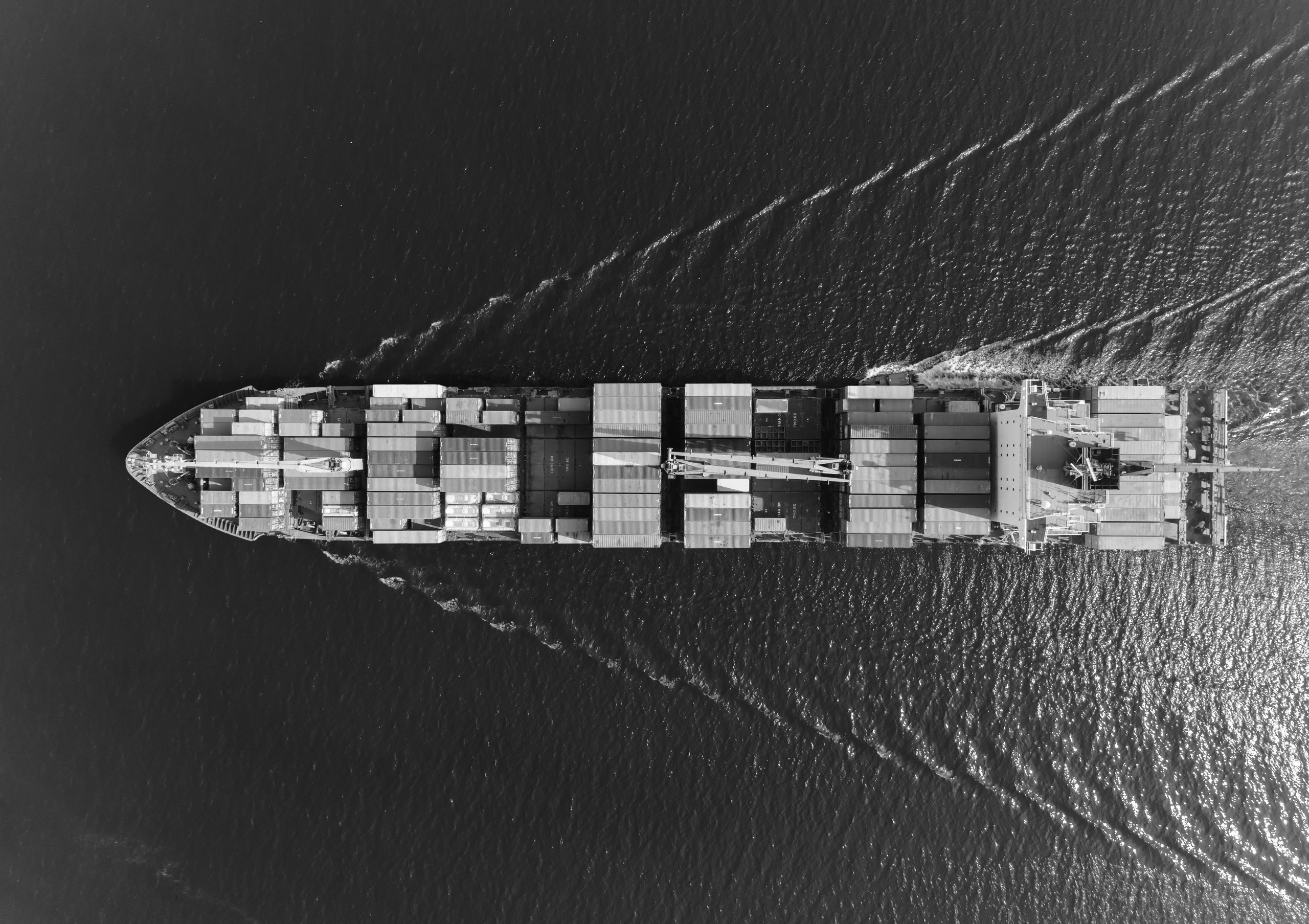 shutterstock_1271510428_BW